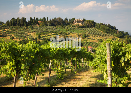 San Gimignano Landschaft, Toskana, Italien Stockfoto
