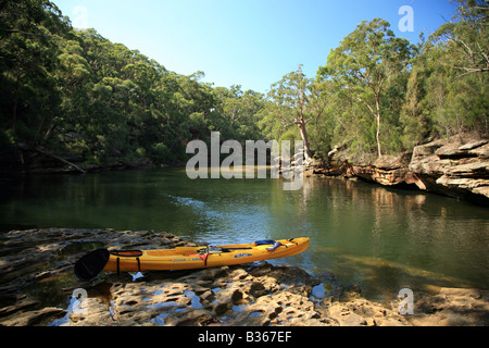 Fluss im Busch in AU Stockfoto