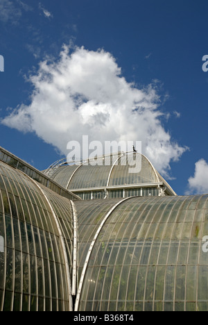 England, London, äußere des Palmenhauses in Kew Gardens, Nahaufnahme Stockfoto