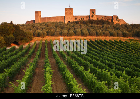 Monteriggioni, Val d ' Elsa, Toskana, Italien Stockfoto