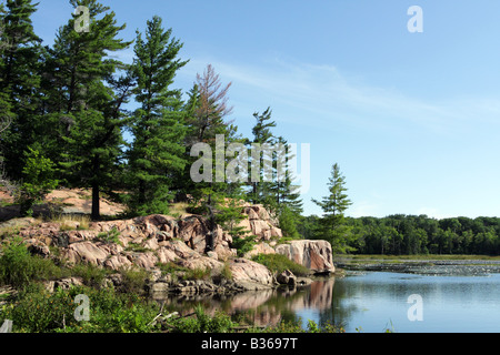 Kiefernwald und Sümpfe auf Cranberry Bog Trail im Killarney Provincial Park of Ontario, Kanada Stockfoto