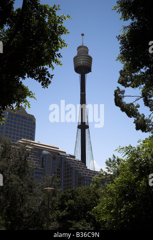 Westfield AMP Centrepoint Tower, Sydney, New South Wales, Australien. Stockfoto