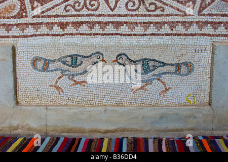 Fliesen Mosaik an das römische Theater in Bosra Syrien Stockfoto