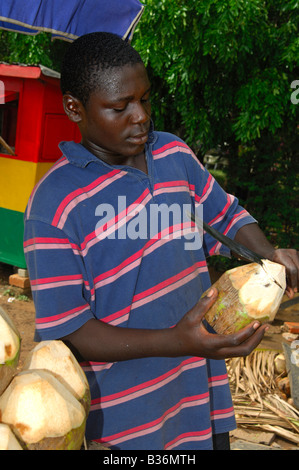 Junge Street-Händler öffnet eine gekühlte Kokosnuss mit einer Machete, Accra, Ghana Stockfoto