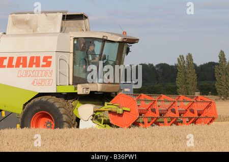 CLAAS Lexion 450 kombinieren Harvester schneiden Weizen in Kent, england Stockfoto