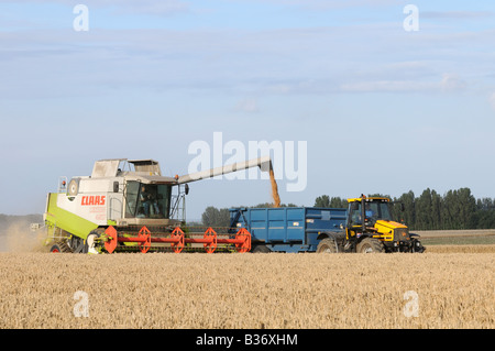 CLAAS Lexion 450 kombinieren Harvester schneiden Weizen in Kent England mit Traktor Stockfoto