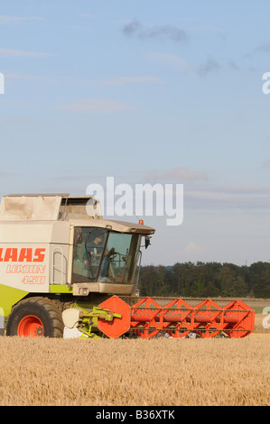 CLAAS Lexion 450 kombinieren Harvester schneiden Weizen in Kent, england Stockfoto