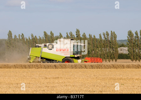 CLAAS Lexion 450 kombinieren Harvester schneiden Weizen in Kent, england Stockfoto