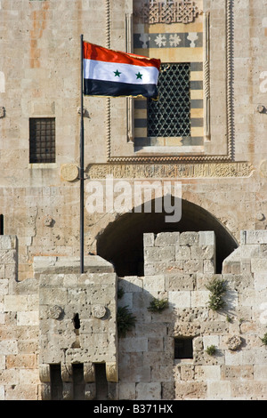 Syrische Flagge auf der Zitadelle in Aleppo Syrien Stockfoto