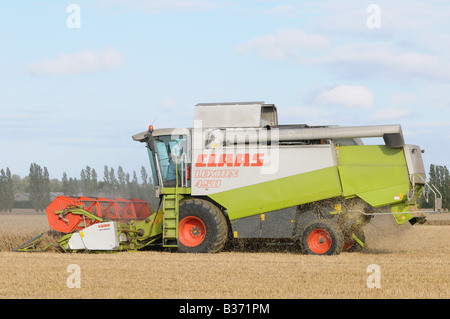 CLAAS Lexion 450 kombinieren Harvester schneiden Weizen in Kent, england Stockfoto