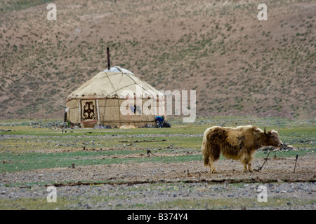 Jurte und Yak im Pshart-Tal im östlichen Pamir in der Nähe von Murgab Tadschikistan Stockfoto