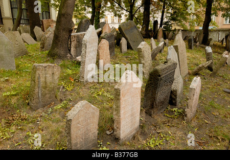 Jüdischer Friedhof Grabsteine auf dem jüdischen Friedhof, Prag, Tschechische Republik Stockfoto