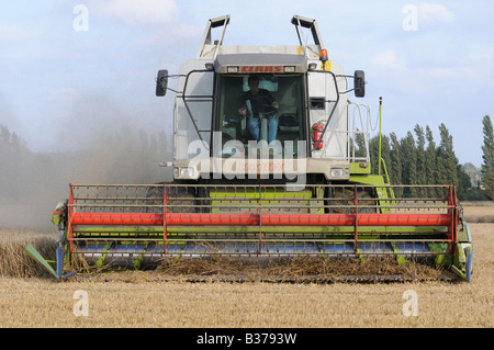 CLAAS Lexion 450 kombinieren Harvester schneiden Weizen in Kent, england Stockfoto