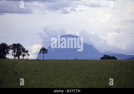 Blick auf Tepuis Tipuis oder Regenwald Tafelberge in der Gran Sabana Bundesstaat Bolivar in Venezuela Stockfoto