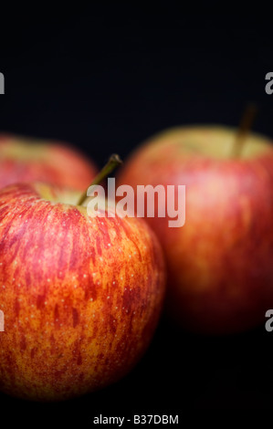 Malus Domestica. Royal Gala Äpfel vor schwarzem Hintergrund Stockfoto