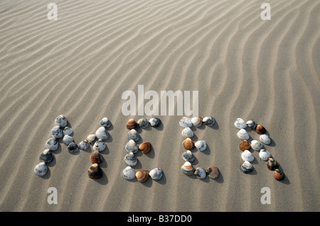 Das Wort Meer - Deutsch für Meer, gemacht von Muscheln am Strand Stockfoto