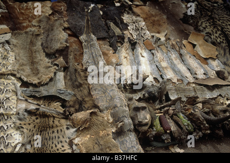 Stadtmarkt Stall verschiedener Tierhäute für Verkauf Objekte für Hexerei traditionelle heilende Tierteilen Schädel BAMAKO MALI Stockfoto