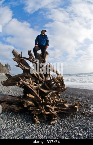 Wanderer beobachtet den Sonnenuntergang von einem Baum auf Rialto Strand Olympic Nationalpark Washington angeschwemmt Stockfoto