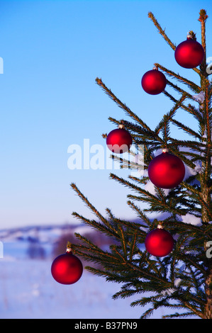 Kugeln auf einem Weihnachtsbaum außerhalb in einer verschneiten Landschaft Stockfoto