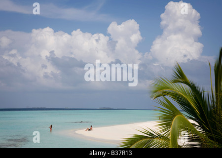 Blick auf einsamen Insel Strand im Süd Ari Atoll auf den Malediven in der Nähe von Indien Stockfoto
