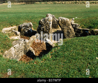 Nympsfield Long Barrow, Coaley Peak, Gloucestershire, Cotswolds, England, UK, Europa Stockfoto