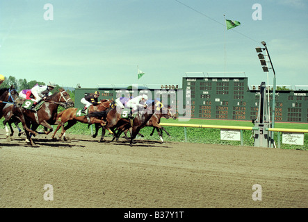 Pferderennen Sie-Emerald Downs Auburn Washington Foto-Finish Stockfoto