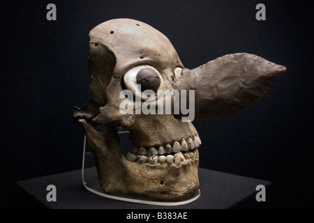 Azteken (Mexica) Angebot von verzierten Schädel Maske Aus enthauptet getöteten Krieger aus dem Templo Mayor-Museum in Mexiko-Stadt. Stockfoto