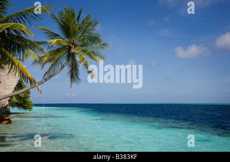 Seil Schaukel auf Süd Ari Atoll auf den Malediven in der Nähe von Indien Stockfoto