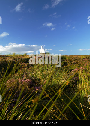 Fett Betty North York Moors National Park Stockfoto