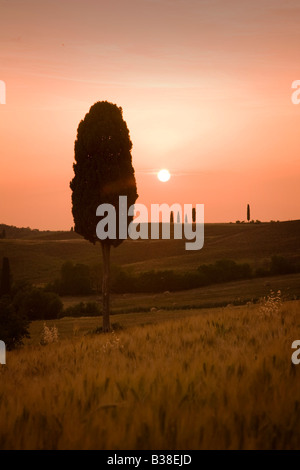 Sonnenuntergang über der Landschaft in der Nähe von Pienza in der Toskana in Italien Stockfoto