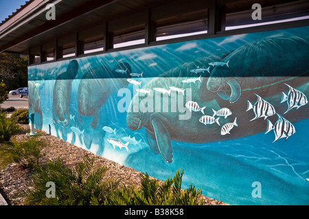 Gemalte Wandbild auf Betonwand im Homosassa State Wildlife Park Stockfoto