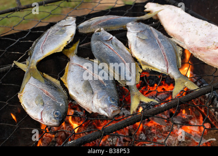 CHL Chile Juan Fernandez Archipels Robinson Crusoe Insel 05 2007 Fish Grill mit Pampanitos und bacalao Stockfoto