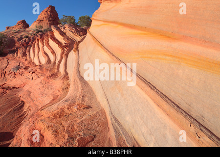 Gekerbten Sandstein im Vermilion Cliffs National Monument, Arizona Stockfoto
