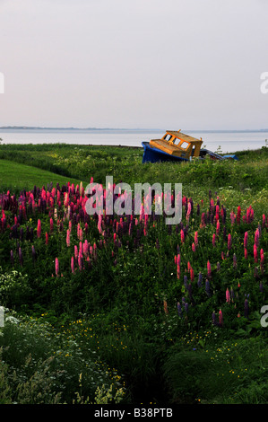 Boot auf He Ufer in Fatima Iles De La Madeleine Quebec Kanada Stockfoto