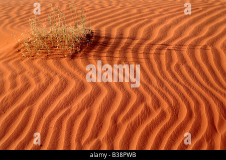 Grass und Wellen Stockfoto