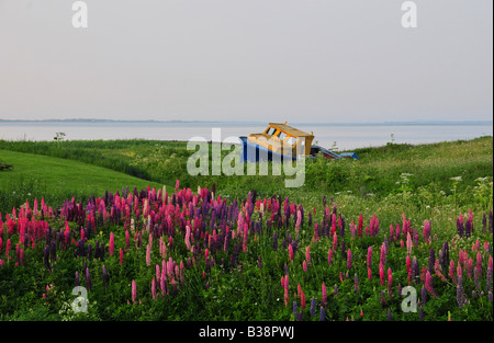 Boot auf He Ufer in Fatima Iles De La Madeleine Quebec Kanada Stockfoto