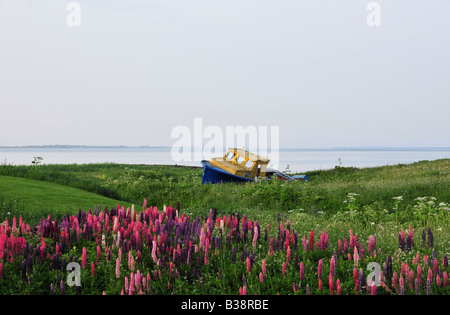 Boot auf He Ufer in Fatima Iles De La Madeleine Quebec Kanada Stockfoto