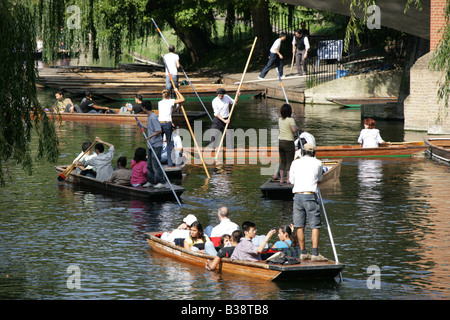 Stadt von Cambridge, England. Chaotische punting Szene auf dem Fluss Cam als Touristen versuchen, punt und Navigieren auf dem Fluss. Stockfoto