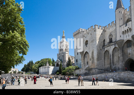 Palais des Papes und die Kathedrale von Notre Dame des Doms, Place du Palais, Avignon, Provence, Frankreich Stockfoto