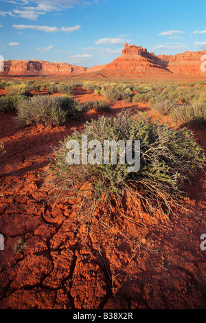 Rissige Erde und Büsche im Valley of the Gods, Utah Stockfoto