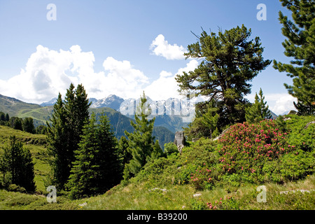 Berglandschaft Im Pitztal Tirol, Landschaft in den Tiroler Bergen Stockfoto