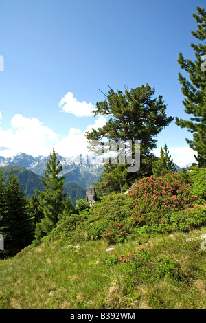 Berglandschaft Im Pitztal Tirol, Landschaft in den Tiroler Bergen Stockfoto