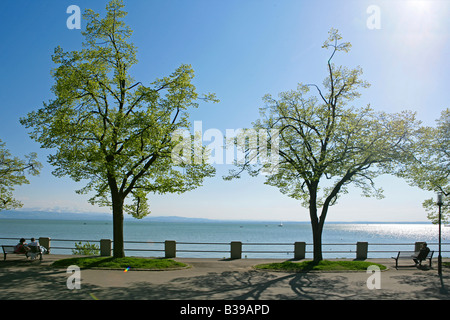 Deutschland, Baden-Württemberg, Friedrichshafen am Bodensee, Deutschland Friedrichshafen am See Constanze Stockfoto