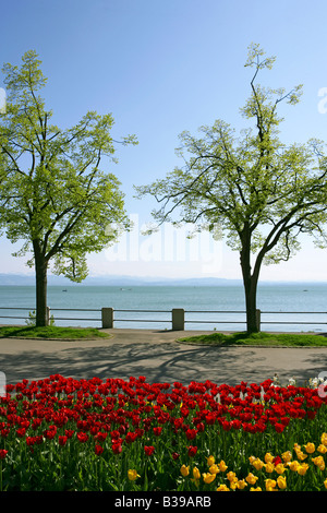 Deutschland, Baden-Württemberg, Friedrichshafen am Bodensee, Deutschland Friedrichshafen am See Constanze Stockfoto