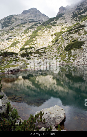 Felsige Ufer des Samodivski Ezera See in World Heritage Site Nationalpark Pirin Bulgarien Stockfoto