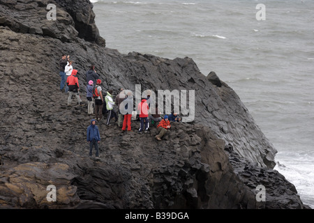 Reynisdrangar, schwarzen Basaltsäulen am Meer in der Nähe von Vik, Island geformt. Stockfoto