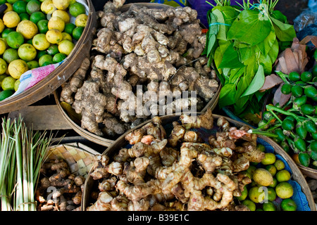 Ingwer und Galgant Wurzel in einem Korb auf einem Markt in Bali, Indonesien Stockfoto