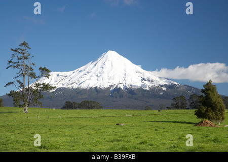 Ackerland in der Nähe von Stratford und Mt Taranaki Mt Egmont Taranaki Nordinsel Neuseeland Stockfoto