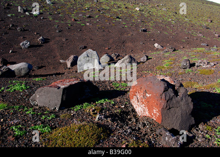 Steinen auf vulkanische Plateau Vulkan Tya Tya Kunaschir Insel, Kurilen-Inseln, fernen Osten Russlands Stockfoto