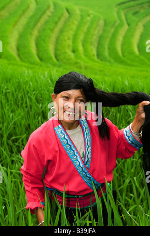 Einen schönen roten Yao zeigt ihr langes Haar in die Longji Reisterrassen, Guangxi, China Stockfoto